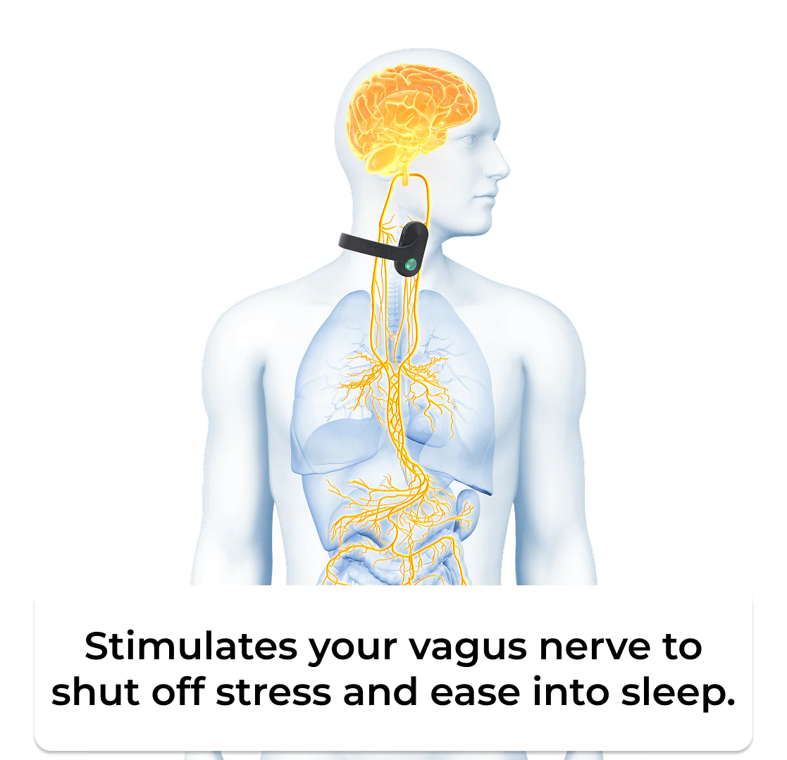 Pulsetto vagus nerve stimulation device - Image 3